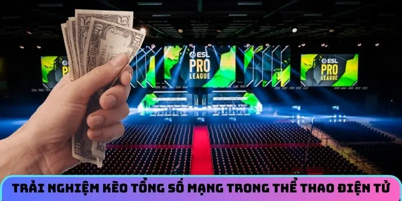 Trải nghiệm kèo tổng số mạng trong thể thao điện tử