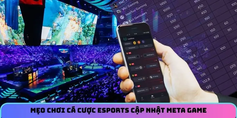 Mẹo chơi cá cược Esports cập nhật meta game