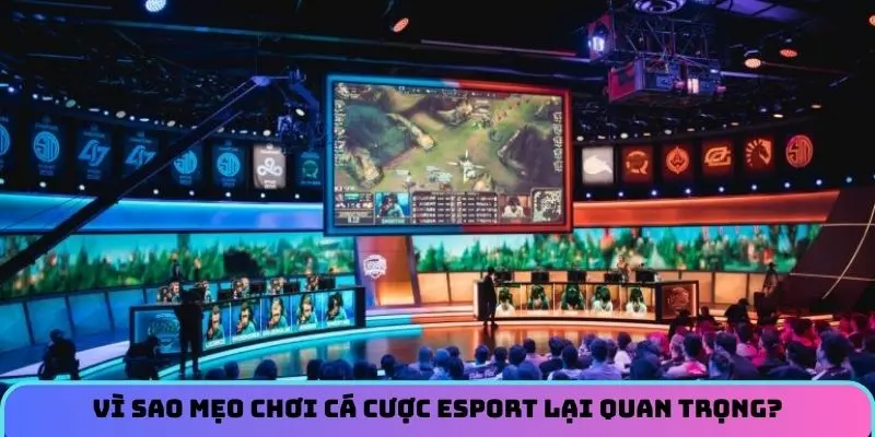 Vì sao mẹo chơi cá cược Esport lại quan trọng?